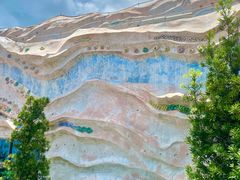 -广东惠东海龟国家级自然保护区