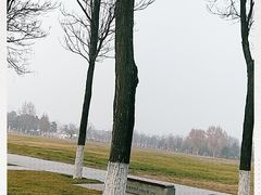 -大明宫国家遗址公园·御道广场