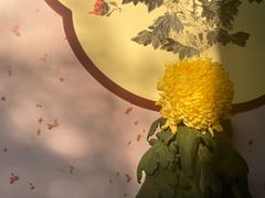 -杭州植物园