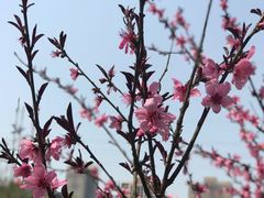 -重庆彩云湖湿地公园