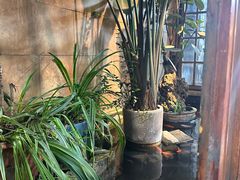 -夹夹大·蟹蟹大排档(财富又一城店)