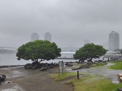 -台场海滨公园船码头