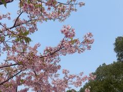 -新江湾城公园