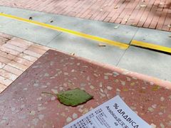 -% Arabica阿拉比卡咖啡(武汉天地店)
