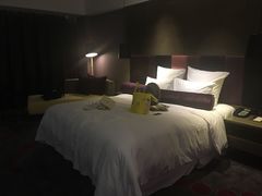 -南京禄口机场雅高铂尔曼大酒店