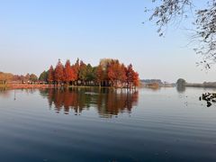 -贡湖湾湿地公园