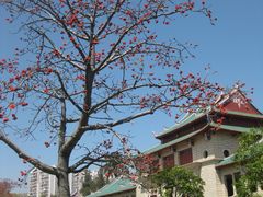 -厦门大学(思明校区)