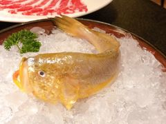 -荣记火锅(青悦城店)