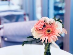 -CHEZ JASMINE 茉莉的氧气厨房