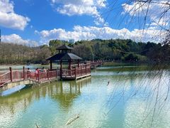 -观山湖公园