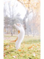 -Oasis Beauty水磨坊科技美肤中心