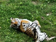 -宿豫区运河湾森林动物园