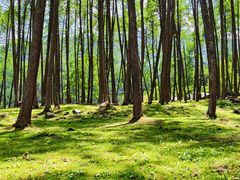 -硗碛藏寨·神木垒景区