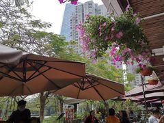 -缘生态云南菜·野生菌庭院餐厅(华侨城店)