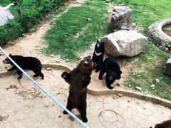 -无锡动物园·太湖欢乐园