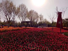 -廊坊文化艺术中心