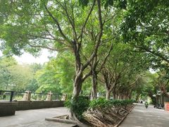 -黄埔古港