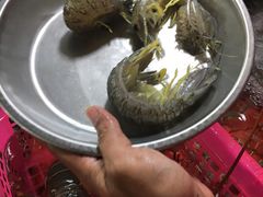 -班赞海鲜市场