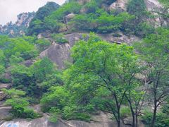 -黑龙潭风景区