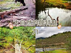-普达措国家公园