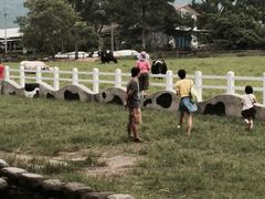 -瑞穗牧场