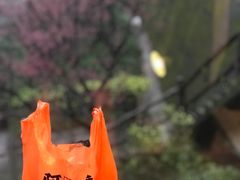 -阿兰草仔粿