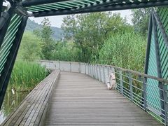 -西湖风景区-江洋畈生态公园