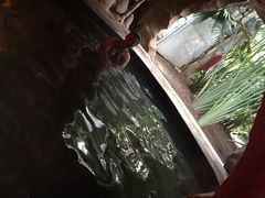-龙达温泉生态城