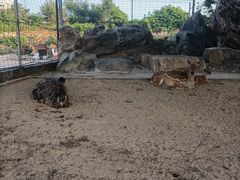 -八景休閒山莊  廣東十大名山莊