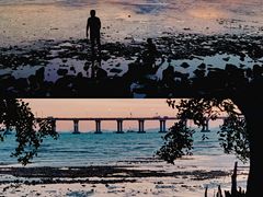 -宝安西湾红树林湿地公园