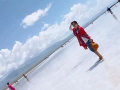 -青海茶卡盐湖文化旅游发展股份有限公司