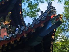 -灵谷景区