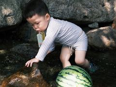 -北仑森林植物园