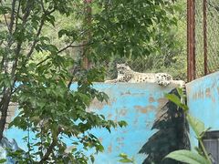 -青藏高原野生动物园