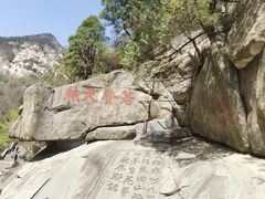 -泰山风景名胜区