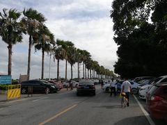 -南沙十九涌渔人码头-南门