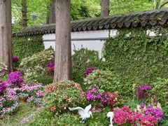 -惠山古镇·寄畅园