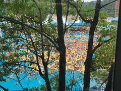 -杭州浪浪浪水公园