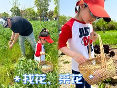 -九善农植有机生活农场