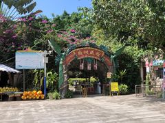 -瑞丽独树成林风景区