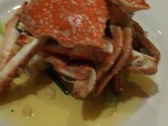 -Red Lobster