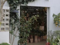 -自由生长植物工作室(深港花卉中心店)