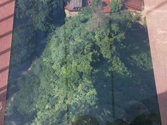 -太湖源风景区