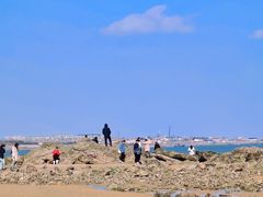 -巧克力渔家.小船海鲜胶东菜(万平口店)