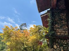 -姑婆山旅游区