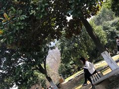 -白马涧龙池景区