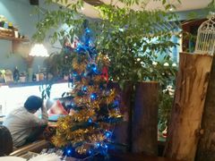 -芭莉与彩虹西餐厅(成都合生汇店)