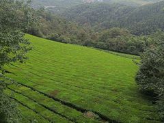 -敬亭山风景名胜区