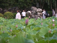 -莲湖公园