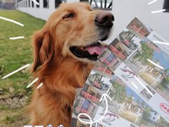 -上海华帆旗开比亚迪4S店(浦东北路店)